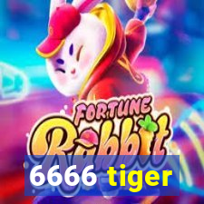 6666 tiger