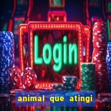 animal que atingi 230 decibeis