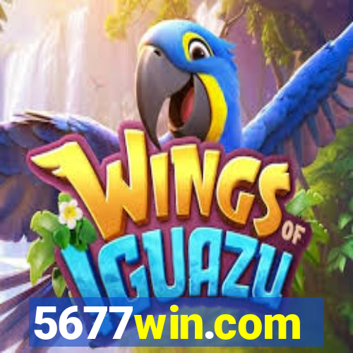 5677win.com