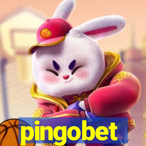 pingobet