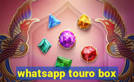 whatsapp touro box