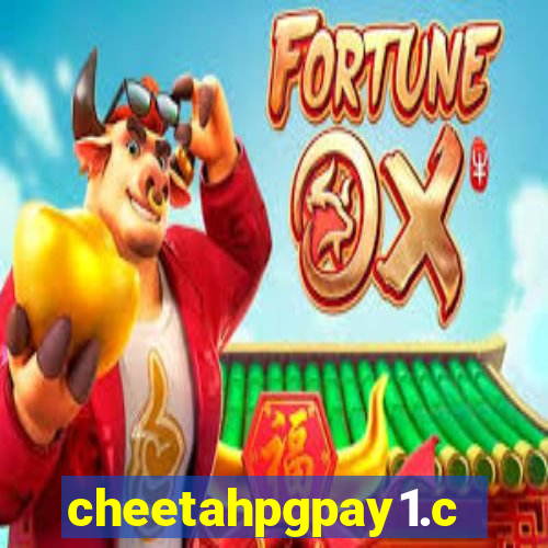 cheetahpgpay1.com