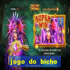 jogo do bicho tipos de apostas