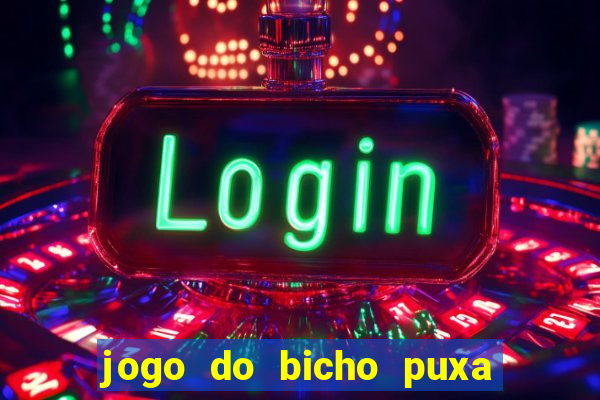 jogo do bicho puxa de dona maria