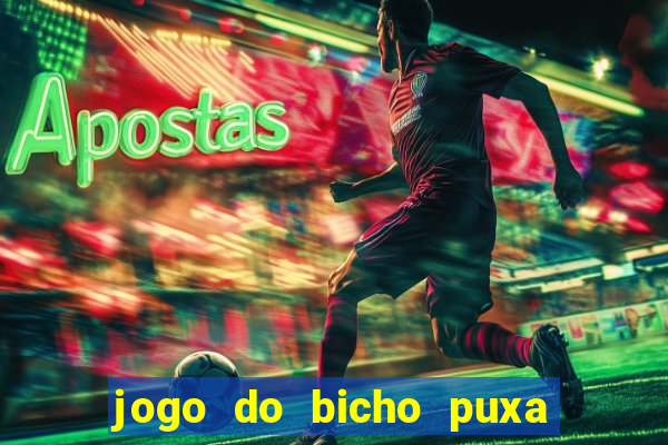 jogo do bicho puxa de dona maria