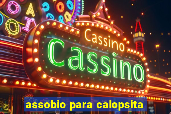 assobio para calopsita