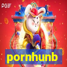 pornhunb