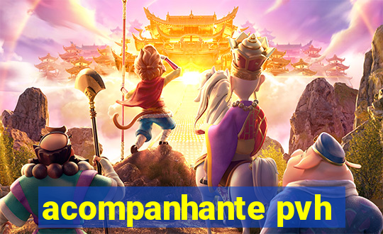 acompanhante pvh