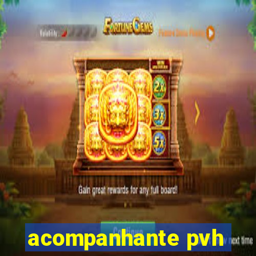 acompanhante pvh