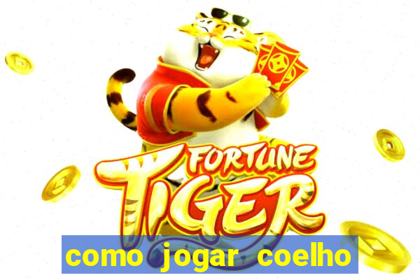 como jogar coelho da fortuna