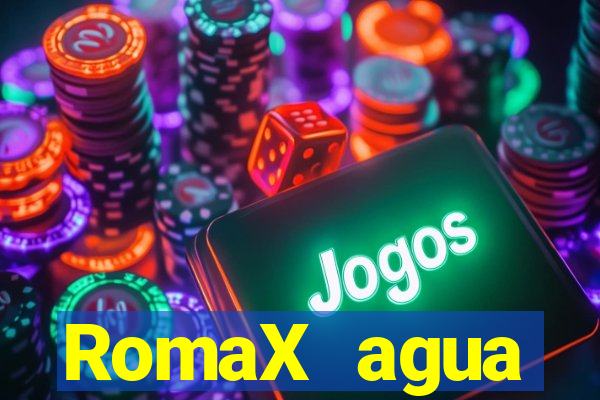 RomaX agua sanitaria fispq agua sanitaria romax