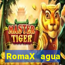 RomaX agua sanitaria fispq agua sanitaria romax