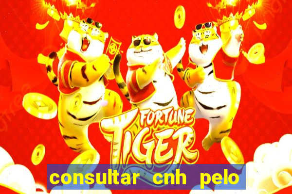 consultar cnh pelo cpf sp