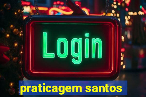 praticagem santos