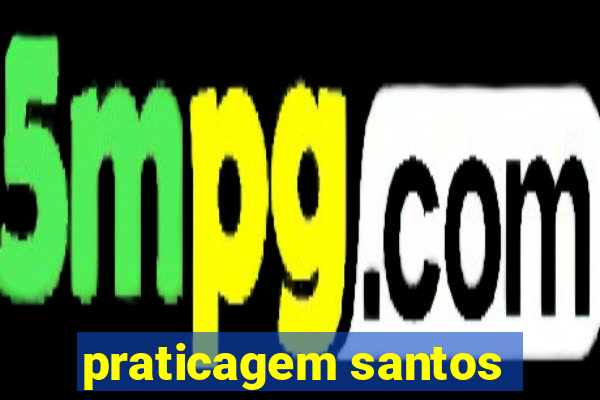 praticagem santos