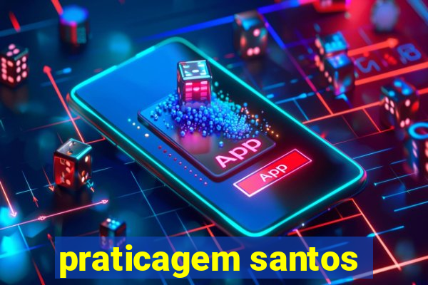 praticagem santos