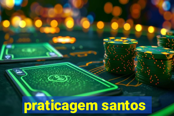 praticagem santos