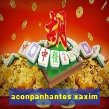 aconpanhantes xaxim