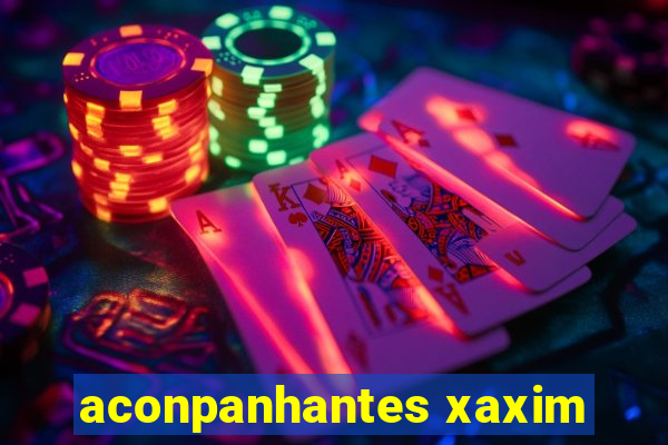 aconpanhantes xaxim