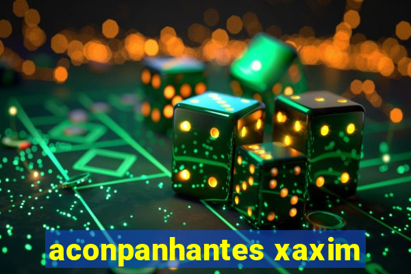 aconpanhantes xaxim