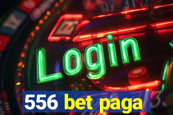 556 bet paga