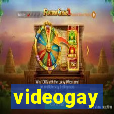 videogay