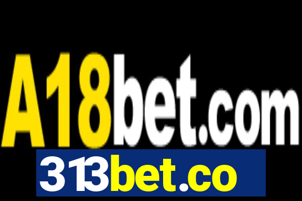 313bet.co