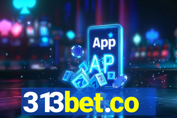 313bet.co