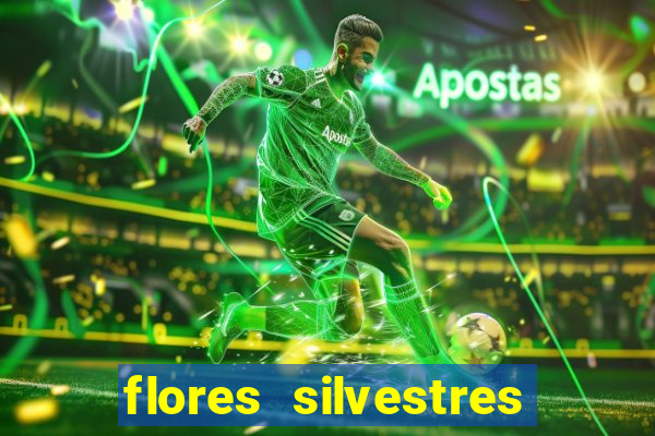 flores silvestres desbravadores desbravadores 25