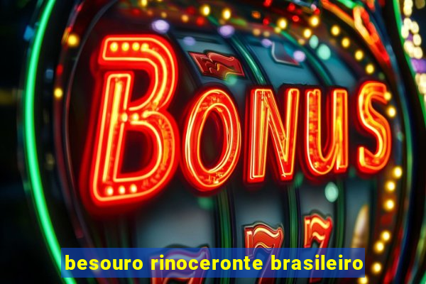 besouro rinoceronte brasileiro