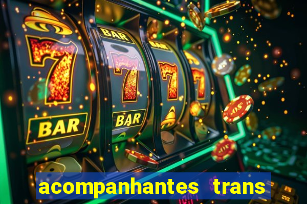 acompanhantes trans baixada fluminense