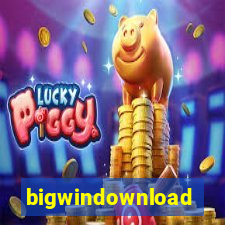 bigwindownload