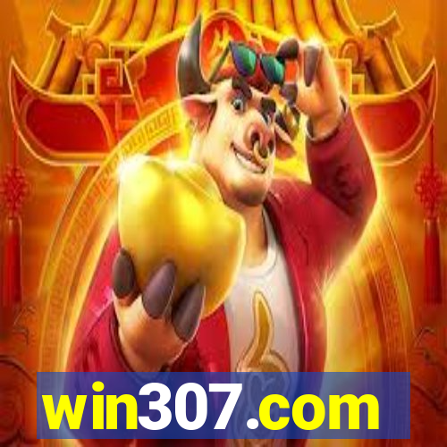 win307.com