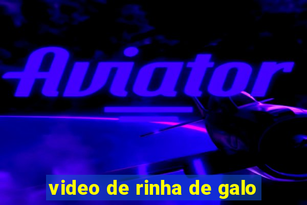 video de rinha de galo