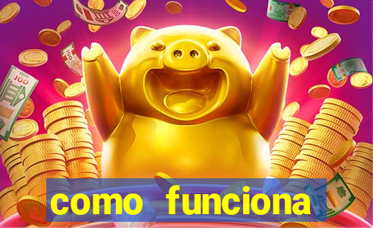 como funciona tarifa super bingo msc