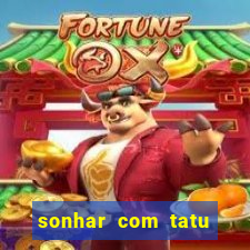 sonhar com tatu jogo do bicho