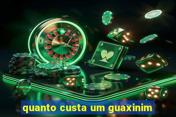 quanto custa um guaxinim