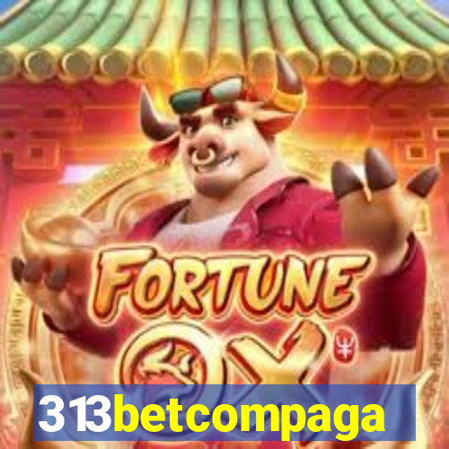 313betcompaga