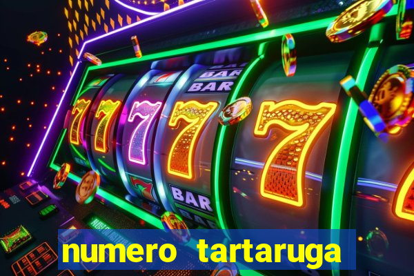 numero tartaruga jogo do bicho