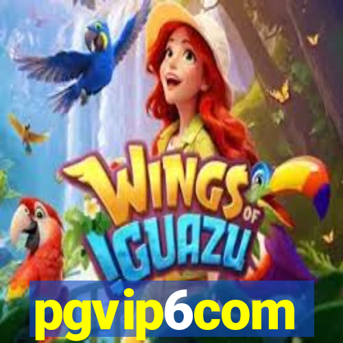 pgvip6com