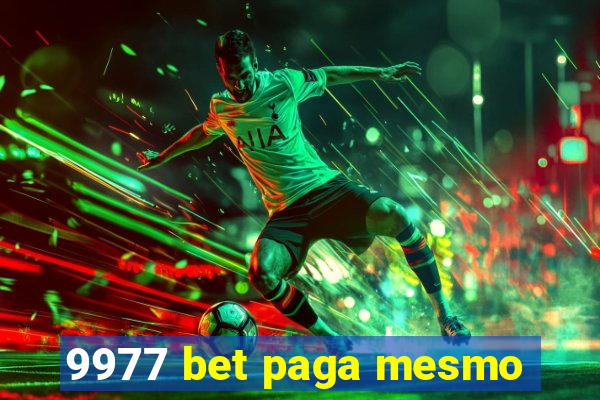 9977 bet paga mesmo