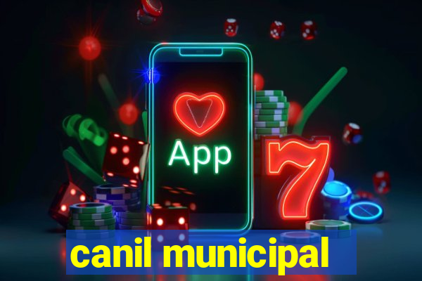 canil municipal