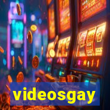 videosgay