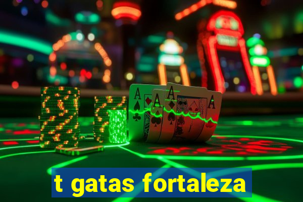 t gatas fortaleza