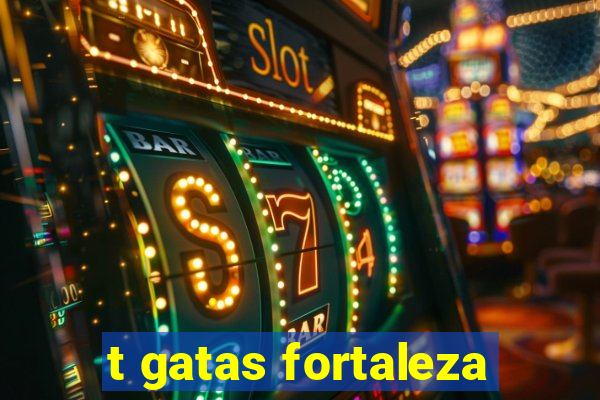 t gatas fortaleza