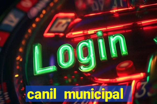 canil municipal porto alegre