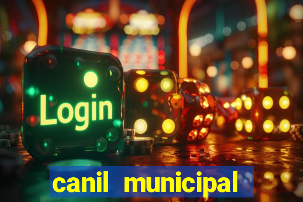 canil municipal porto alegre