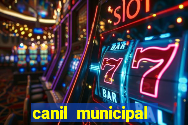 canil municipal porto alegre