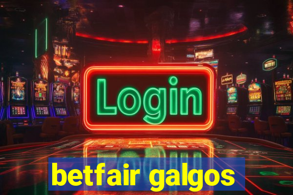 betfair galgos