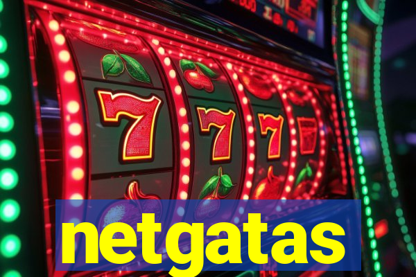 netgatas